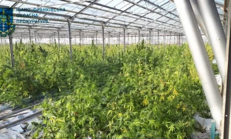 Одна з найбільших нарколабораторій України: у Франківську засудили організаторів