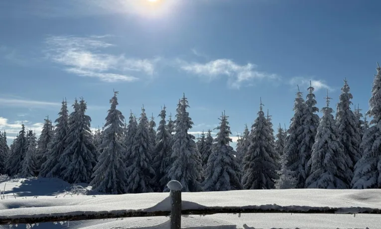 Травень розпочався зимовою погодою: на Франківщині засніжило