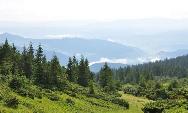 Трагедія в горах: на кордоні з Румунією виявили тіло людини