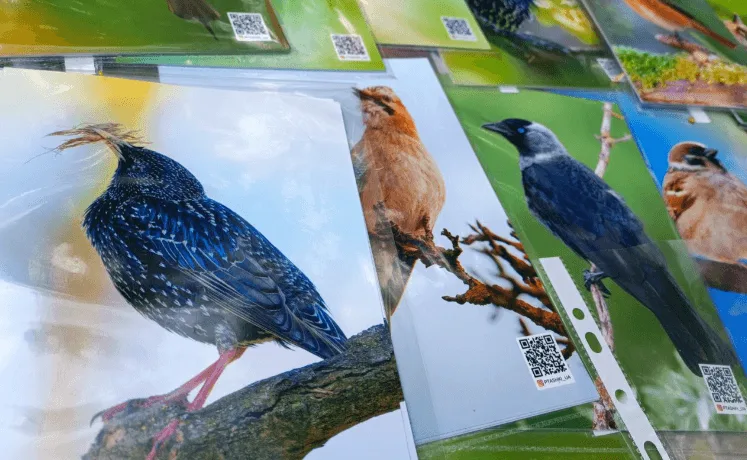 В Івано-Франківську вперше провели Фестиваль птахів