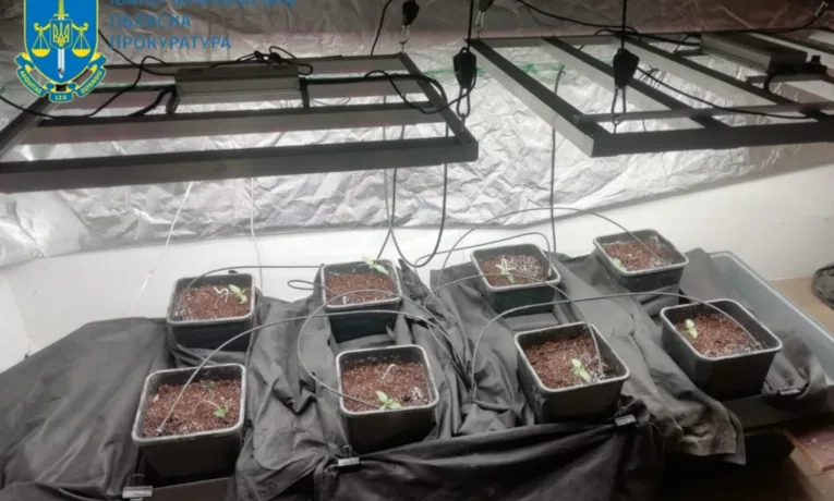 У Калуському районі викрили масштабний наркобізнес