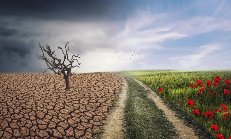 «ВАГІТНІ» ЗМІНАМИ?