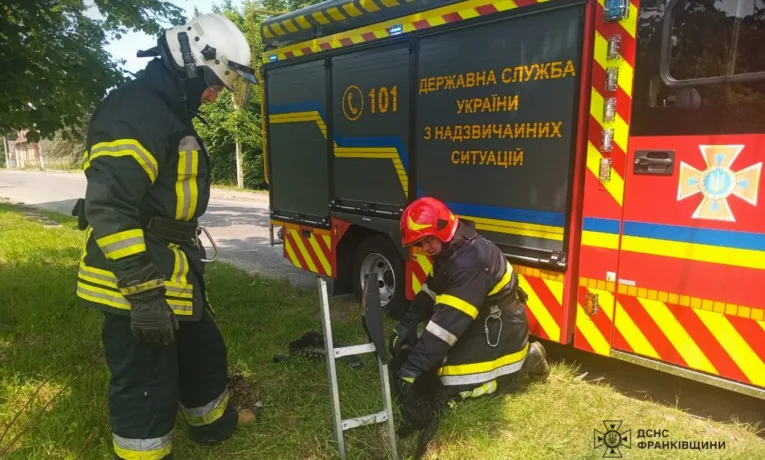 У Долині рятували собаку, яка впала в колодязь