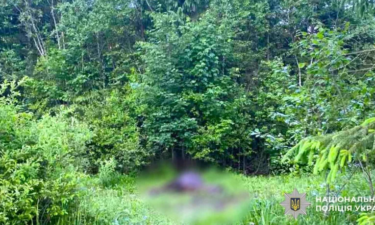 На Івано-Франківщині невідомий застрелив коня у лісовому масиві