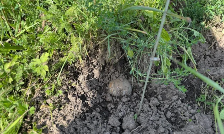 Рятувальники та поліція обстежують 12 гектарів після ворожого обстрілу на Прикарпатті