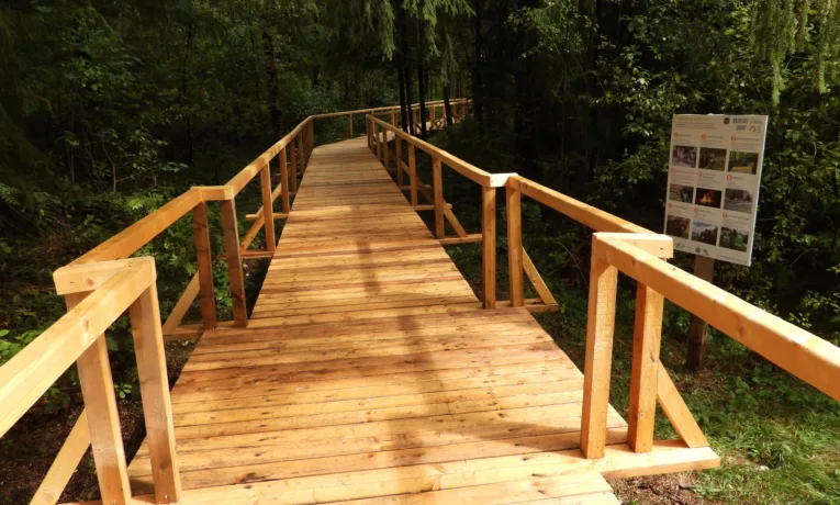 На Верховинщині відкрили інклюзивну екостежку «Гучівка»