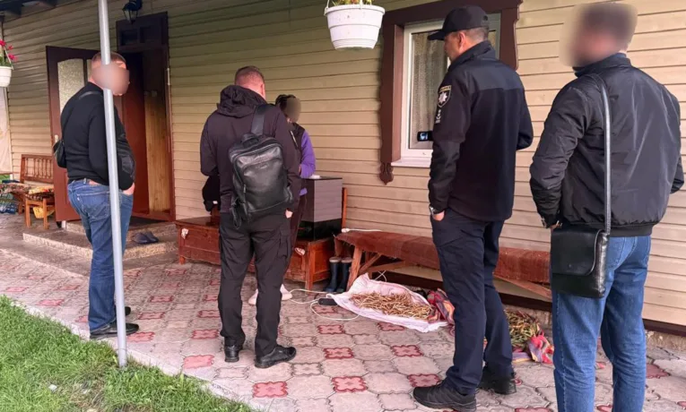 На Прикарпатті викрили схему привласнення державних земель на 14 млн грн