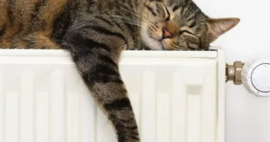 Опалювальний сезон