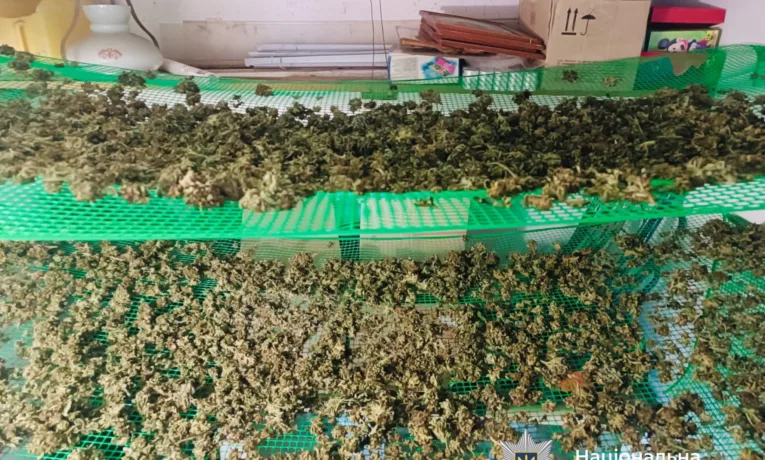 На Прикарпатті поліцейські викрили наркоторговців та «плантацію» конопель