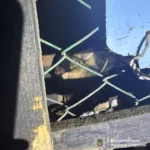 У Коломиї чоловік жорстоко побив собаку: поліція відкрила кримінальне провадження