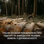 На Прикарпатті викрили схему незаконного виведення 6 га лісу біля «Буковелю»