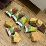 СБУ запобігла терактам на заході України: школярку і двох юнаків завербували російські спецслужби