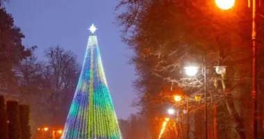 Новорічна ялинка