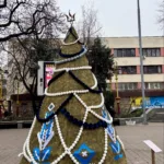 У центрі Івано-Франківська встановили символічну ялинку на честь захисників