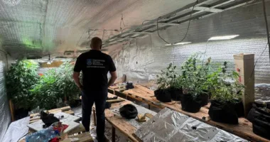 Жителя Яблуниці судитимуть за збут психотропів і утримання нарколабораторії