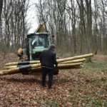 У Галицькому НПП облаштовують новий вольєр для диких тварин