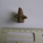 На Галичині археологи знайшли глиняну фігурку Трипільської культури