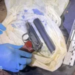 Вбивство Андрія Парубія: слідчі знайшли пістолет із ДНК кілера