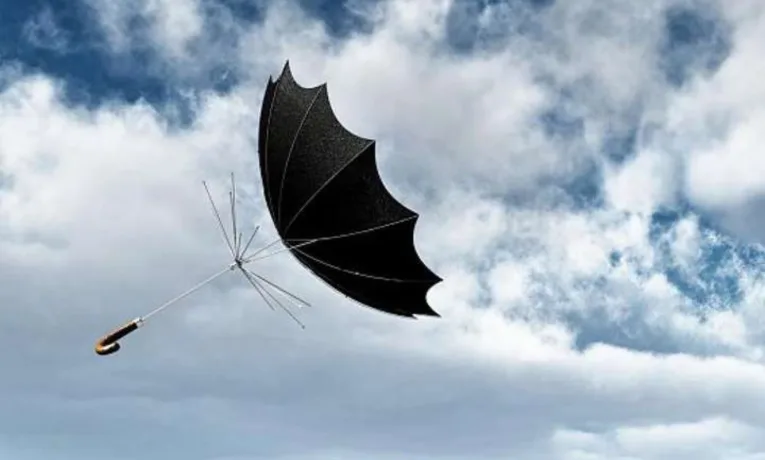 Нічна негода на Прикарпатті залишила без світла десятки громад