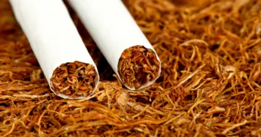 На Прикарпатті викрили масштабну схему незаконного виробництва тютюну