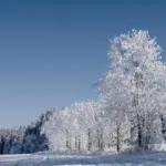 Прогноз погоди