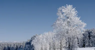 Прогноз погоди