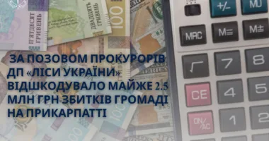 Прокуратура домоглася компенсації за незаконну вирубку лісу на Прикарпатті