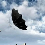 На Прикарпатті енергетики ліквідовують наслідки негоди: найбільше пошкоджень у гірських районах