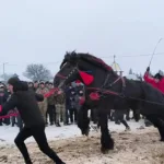 Поліція Прикарпаття розслідує інцидент на кінному фестивалі у Порогах