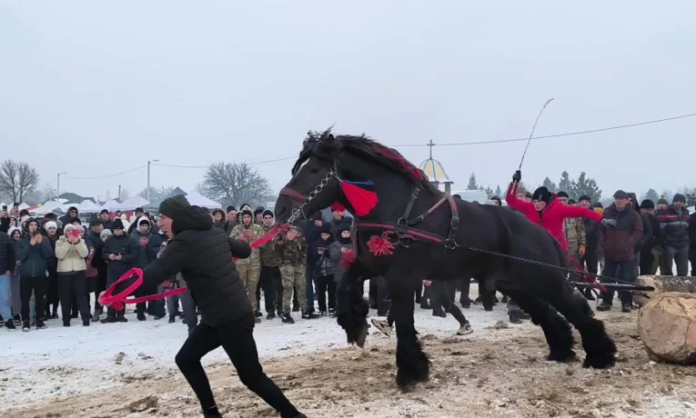Поліція Прикарпаття розслідує інцидент на кінному фестивалі у Порогах