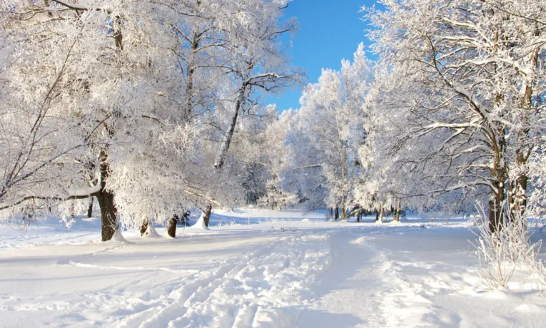 Синоптики попереджають про погіршення погодних умов на Івано-Франківщині