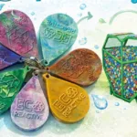 У Франківську збирають пластик і розігрують подарунки до Всесвітнього дня переробки