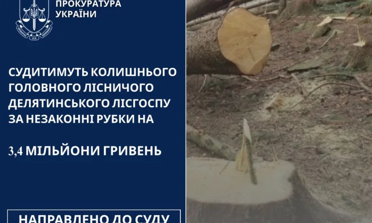 На Прикарпатті судитимуть головного лісничого за незаконні рубки на майже 3,4 млн грн