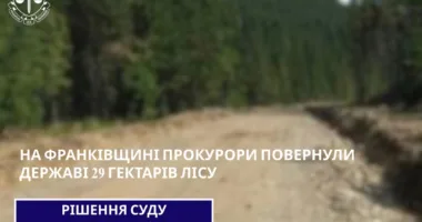 Прокуратура повернула державі 29 гектарів лісових земель на Прикарпатті