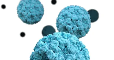 Спалах норовірусу після відпочинку на Буковель: госпіталізували 29 людей