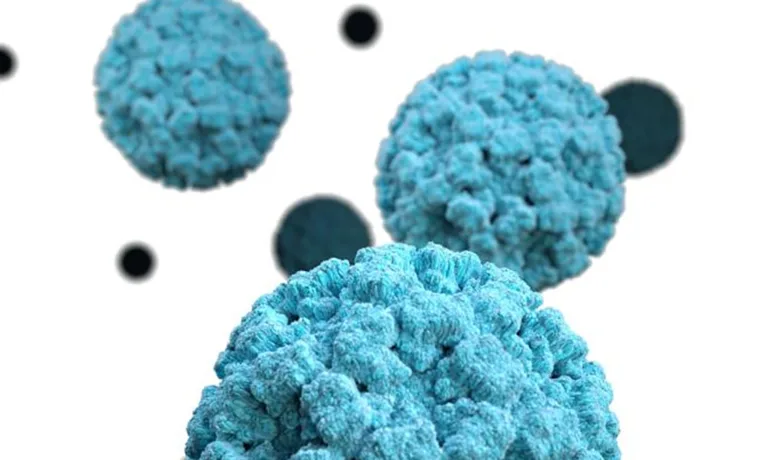 Спалах норовірусу після відпочинку на Буковель: госпіталізували 29 людей