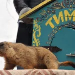 Бабак Тимко IV дав свій перший прогноз