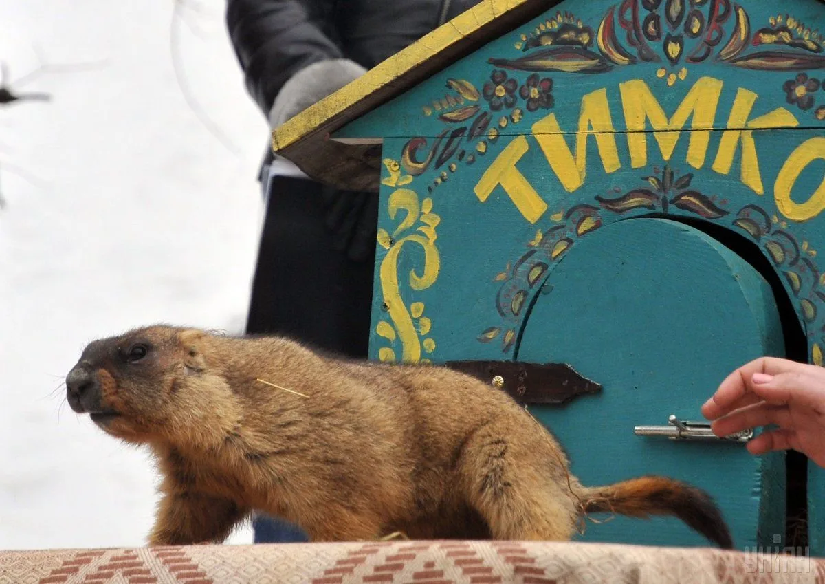 Бабак Тимко IV дав свій перший прогноз