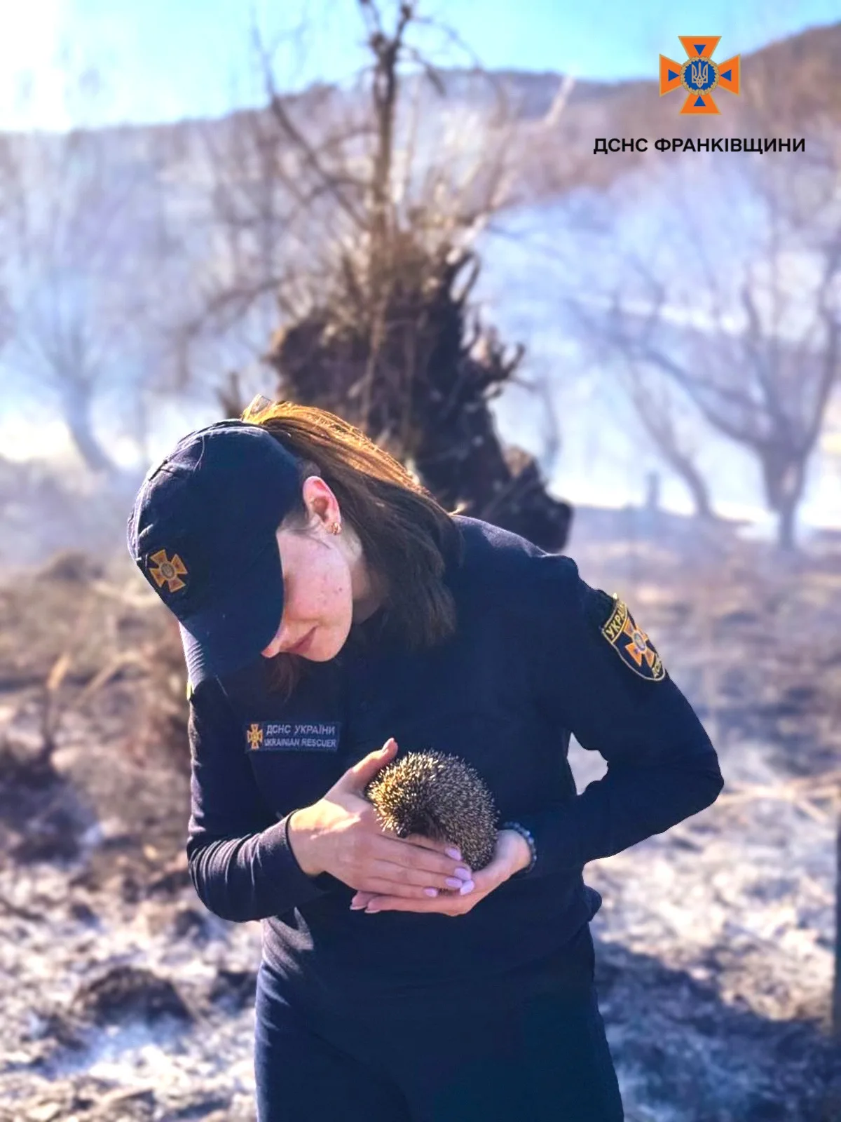 У Яремчі рятувальниця винесла їжачка з димової пастки під час пожежі