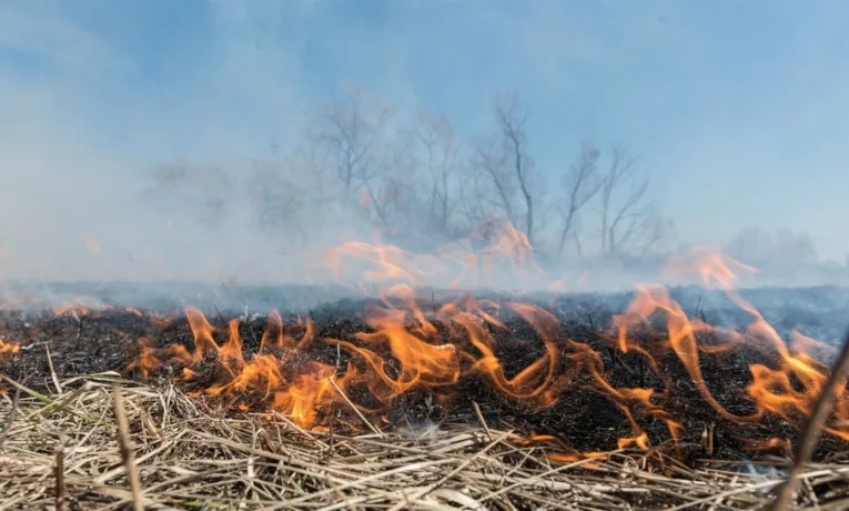 Паління сухої трави
