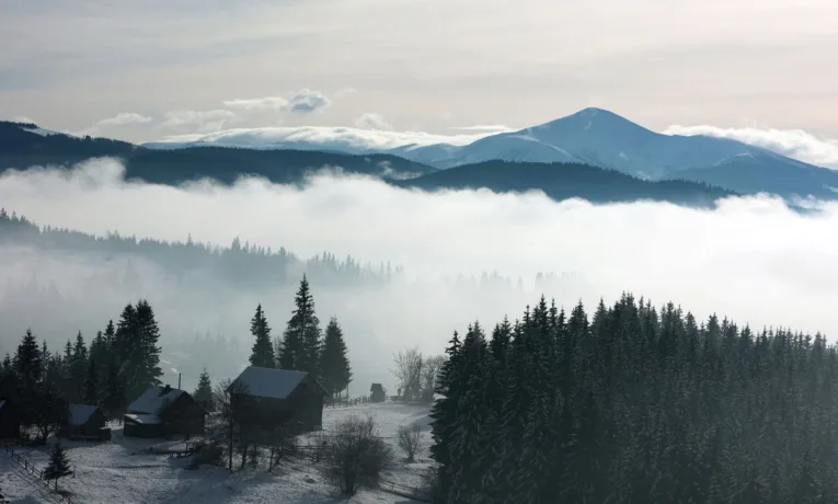 Сніг, вітер і мороз: на Прикарпаття повернулася зима