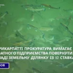 На Прикарпатті незаконно використовували ставки: прокуратура подала до суду