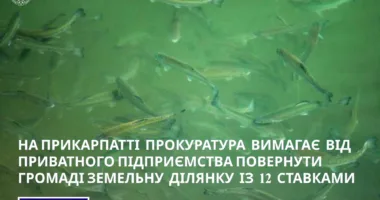 На Прикарпатті незаконно використовували ставки: прокуратура подала до суду