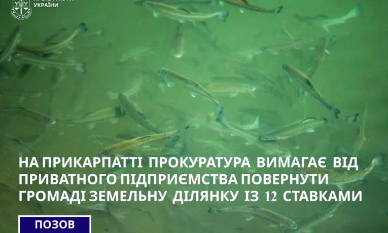 На Прикарпатті незаконно використовували ставки: прокуратура подала до суду