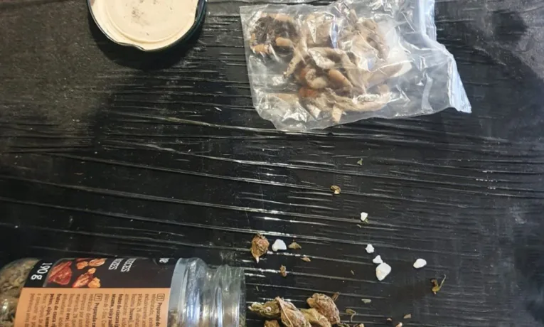 На Прикарпатті затримали пару за збут особливо небезпечних психотропів