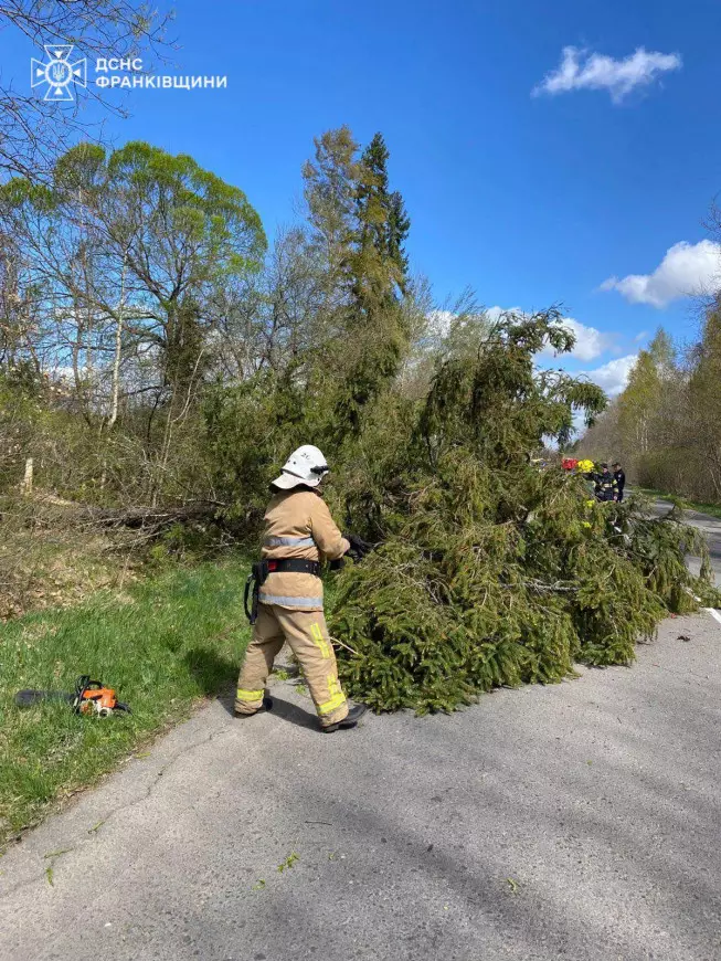 Повалені дерева та пошкоджені дахи: як Франківщина пережила негоду