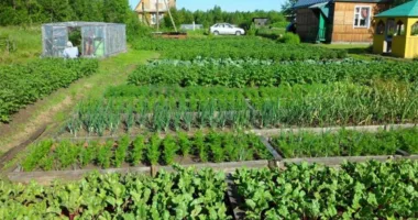 В Івано-Франківську запустили сезонні автобуси до садово-городніх масивів