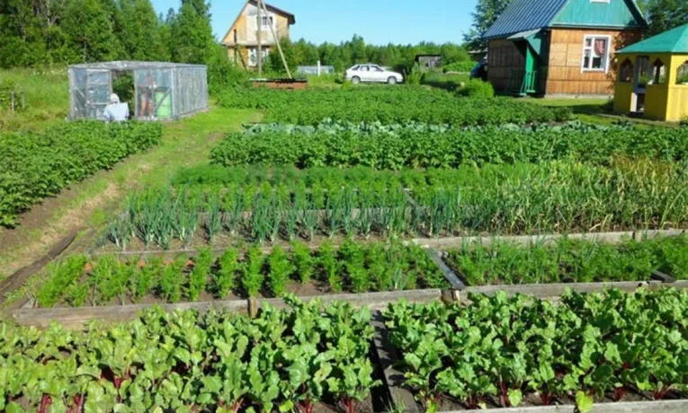 В Івано-Франківську запустили сезонні автобуси до садово-городніх масивів