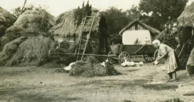 Городенка