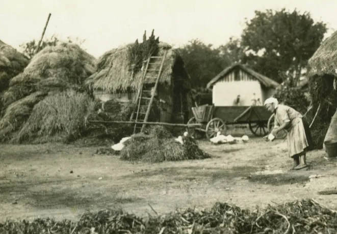 Городенка